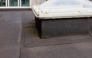 disadvantages of Wisborough Green flat roofs