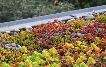 the cost of Wisborough Green green roof installation