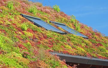 Wisborough Green living roof systems